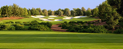 The Dream Merchant Group - Golf Estates