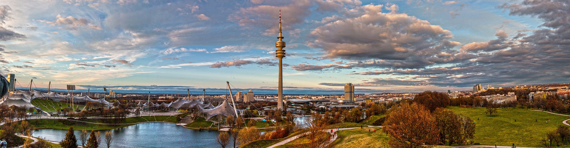 The Dream Merchant Group